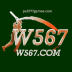 W567 Game